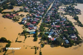 Đề nghị đảm bảo an toàn đê điều trên sông Cầu, sông Thương, sông Cà Lồ. (Ảnh minh họa. Nguồn: Vietnam+)