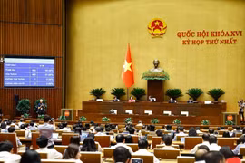 Quốc hội biểu quyết thông qua Luật Hộ tịch (sửa đổi). Ảnh: Doãn Tấn - TTXVN