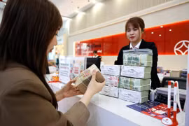 Tín dụng 8 tháng tăng cao nhất trong nhiều năm. (Ảnh: Vietnam+)