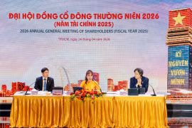 HDBank đặt mục tiêu lợi nhuận tăng 41%, chia cổ tức 30%. (Ảnh: Vietnam+)