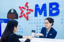 Ảnh minh họa. (Ảnh: Vietnam+)