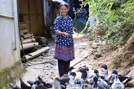 Phụ nữ được hưởng lợi từ quỹ hỗ trợ cải thiện sinh kế sau chiến dịch. (Ảnh: Vietnam+)