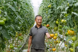 Khách hàng của BIDV với mô hình nông nghiệp hữu cơ tại Lâm Hà. (Ảnh: Vietnam+)
