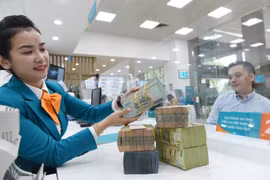 Nhiều ngân hàng dồn dập phát hành cổ phiếu nhằm củng cố bộ đệm rủi ro. (Ảnh: Vietnam+)