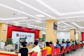 Agribank chào bán 15.000 tỷ đồng trái phiếu ra công chúng 2026. (Ảnh: Vietnam+)