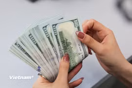UOB cập nhật dự báo tỷ giá USD/VND 26.300 đồng trong quý 3/2025. (Ảnh: Vietnam+)