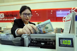Tỷ giá diễn biến phức tạp trước áp lực thuế quan của Mỹ. (Ảnh: Vietnam+)