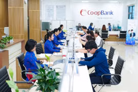 Bổ sung 5.000 tỷ đồng để tăng vốn điều lệ cho Ngân hàng Hợp tác xã Việt Nam. (Ảnh: Co-opBank)