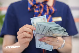 Ngân hàng Nhà nước đề xuất cơ chế mới quản lý dự trữ ngoại hối. (Ảnh: Vietnam+)