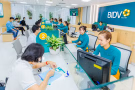 Nguồn vốn với chi phí hợp lý từ BIDV sẽ góp phần thúc đẩy hoạt động sản xuất, kinh doanh của khách hàng. (Ảnh: Vietnam+)