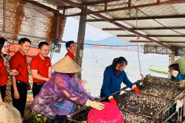 Ngân hàng Nhà nước triển khai gói tín dụng 100.000 tỷ đồng cho lĩnh vực nông, lâm, thủy sản nhằm hỗ trợ sản xuất, giảm chi phí vốn cho người dân. (Ảnh: Vietnam+)