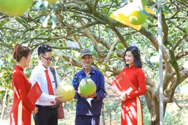 Agribank thúc đẩy phát triển bền vững với chương trình ưu đãi “xanh”. (Ảnh: Vietnam+)
