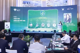 Quang cảnh hội thảo. (Ảnh: Vietnam+)