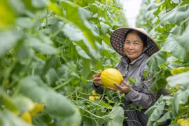 Visa hỗ trợ hơn 27.000 nữ chủ doanh nghiệp chuyển đổi số, mở rộng kinh doanh. (Ảnh: Vietnam+)