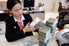 Ngân hàng tăng lãi suất huy động để ổn định tỷ giá và cân đối nguồn vốn. (Ảnh: Vietnam+)