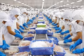 Chuyên gia UOB cho rằng hoạt động kinh tế đã khởi sắc trở lại với xuất khẩu sang thị trường lớn nhất là Hoa Kỳ tăng mạnh 34% so với cùng kỳ. (Ảnh: Vietnam+)
