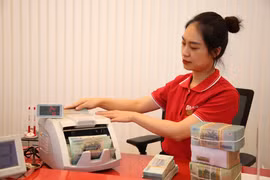 Tăng trưởng tín dụng có thể đạt mục tiêu đề ra. (Ảnh: Vietnam+)