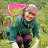 Việc nâng cao năng suất lao động trong lĩnh vực nông nghiệp được đặt trong mối quan hệ chặt chẽ với phát triển nguồn nhân lực. (Ảnh: Nguyễn Cường)