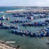 Cần thực thi quyết liệt từ cơ sở để gỡ "thẻ vàng" IUU. (Ảnh: Hoài Nam/Vietnam+)