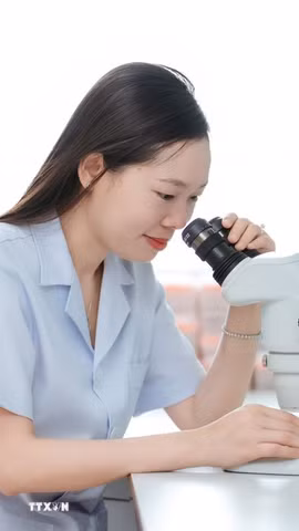 Phó Giáo sư, Tiến sỹ, Bác sỹ Nguyễn Thị Thu Phương làm việc trong phòng thí nghiệm. (Ảnh: Mạnh Minh/TTXVN)