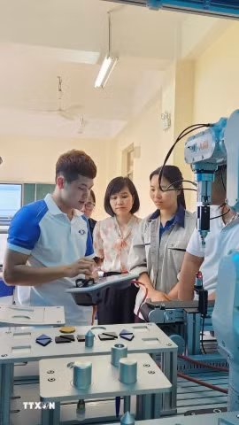 (Ảnh minh họa. Diệu Thúy/TTXVN)