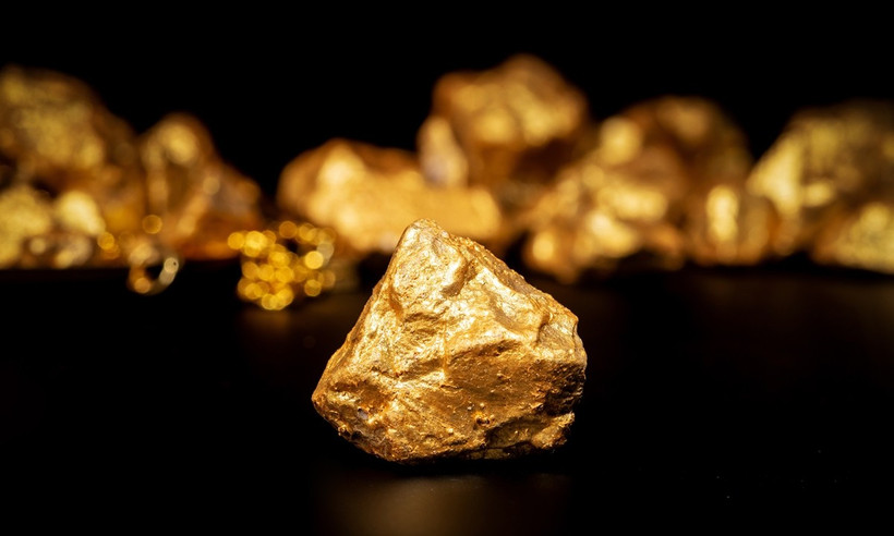 Ảnh minh họa. (Nguồn: VCG)