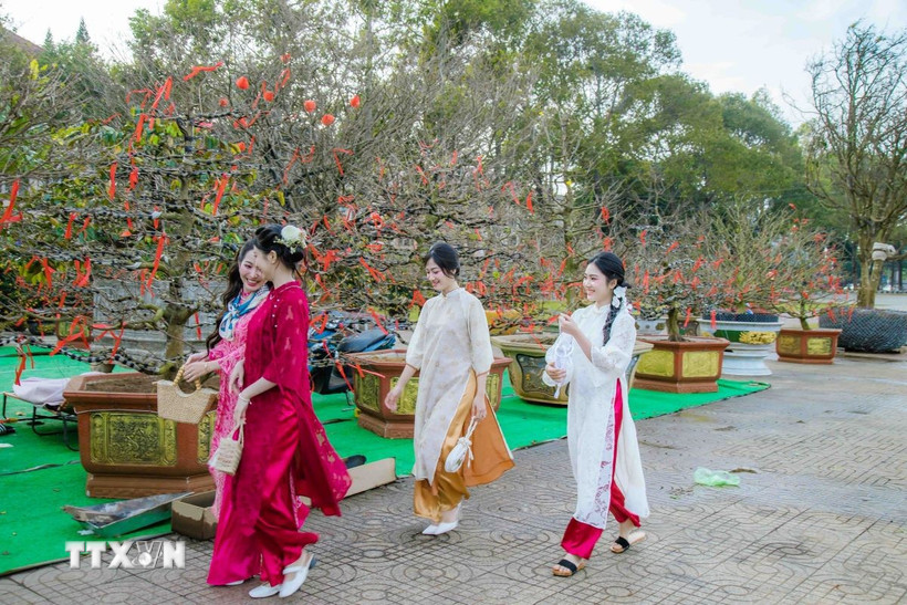 Các bạn trẻ du Xuân sớm tại chợ hoa Xuân, Quảng trường 10/3, thành phố Buôn Ma Thuột, tỉnh Đắk Lắk. (Ảnh: Hoài Thu/TTXVN)