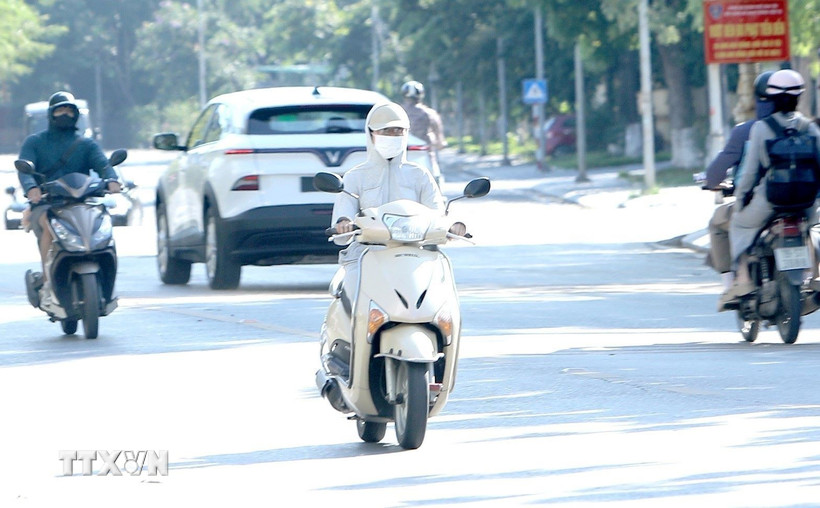 (Ảnh: Hoàng Hùng/TTXVN)