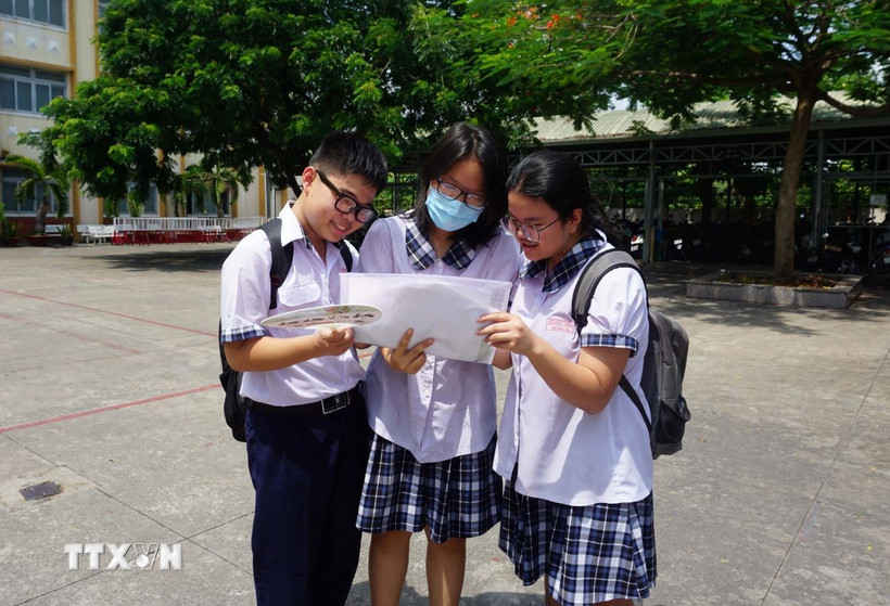 Ảnh minh họa. (Ảnh: Thu Hoài/TTXVN)