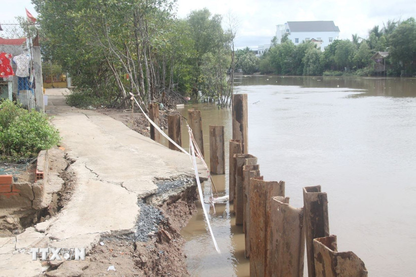 Ngành chức năng và chính quyền địa phương đã gia cố khu vực sạt lở để hạn chế sạt lở lây lan trên diện rộng. (Ảnh: Chanh Đa/TTXVN)