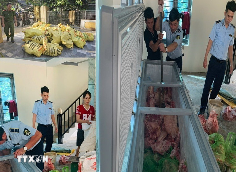 Lực lượng chức năng kiểm tra số thịt lợn nghi mắc dịch bệnh vừa thu giữ. (Ảnh: TTXVN phát)
