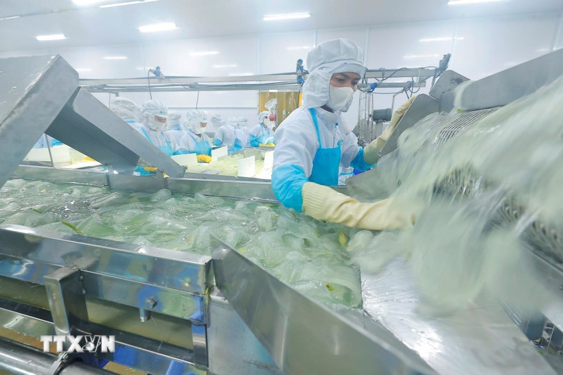 Ảnh minh họa. (Ảnh: Minh Quyết/TTXVN)