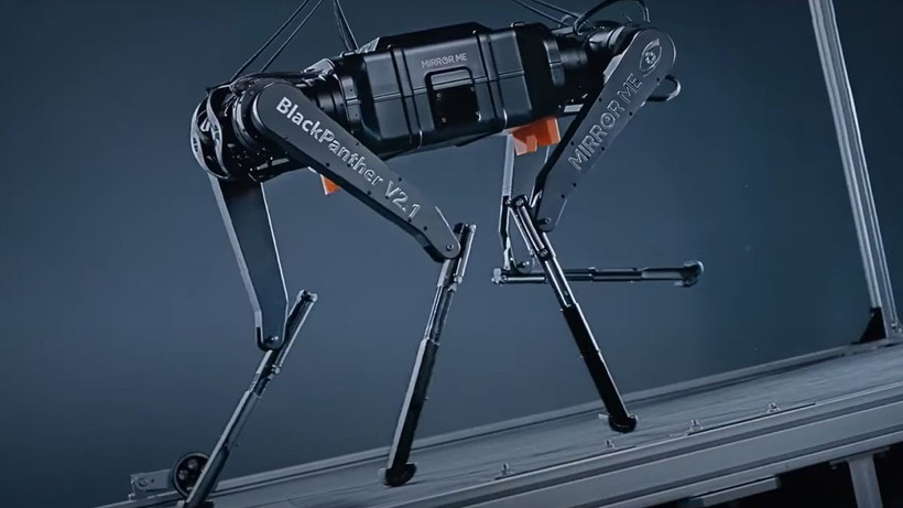 Robot có tên Black Panther. (Nguồn: livescience)