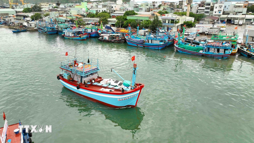 Gia Lai đang thực hiện quyết liệt các giải pháp cấp bách nhằm quản lý chặt chẽ hoạt động khai thác hải sản của ngư dân. (Ảnh: Vũ Sinh/TTXVN)