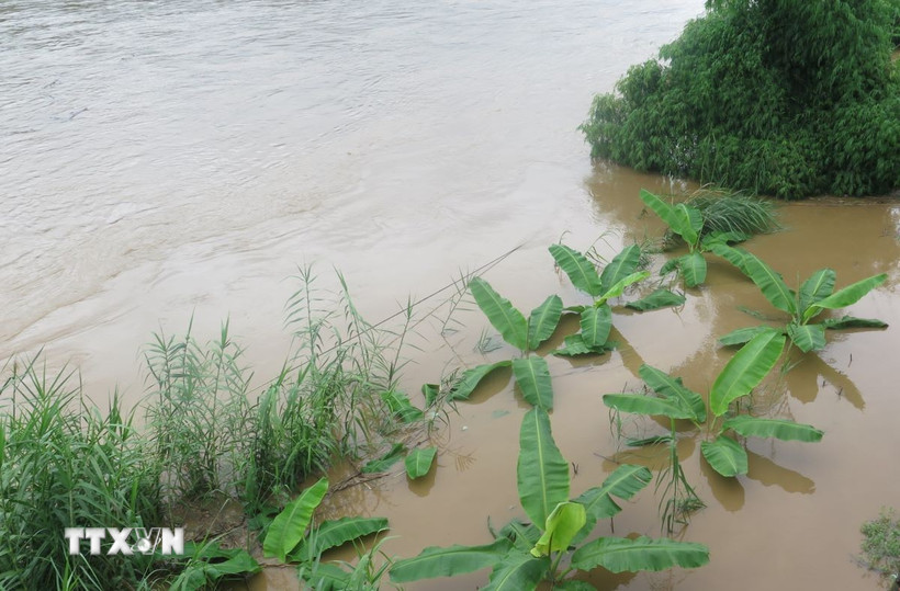 Ảnh minh họa. (Ảnh: Hương Thu/TTXVN)