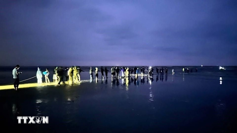 Lực lượng chức năng và người dân xuyên đêm tìm kiếm nạn nhân. (Ảnh: Công Tường/TTXVN)