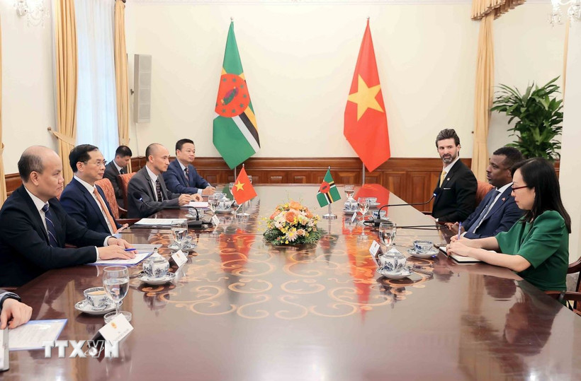 Phó Thủ tướng, Bộ trưởng Bộ Ngoại giao Bùi Thanh Sơn hội đàm với Bộ trưởng Ngoại giao, Ngoại thương, Thương mại và Năng lượng Cộng đồng Thịnh vượng Dominica Vince Henderson. (Ảnh: An Đăng/TTXVN)