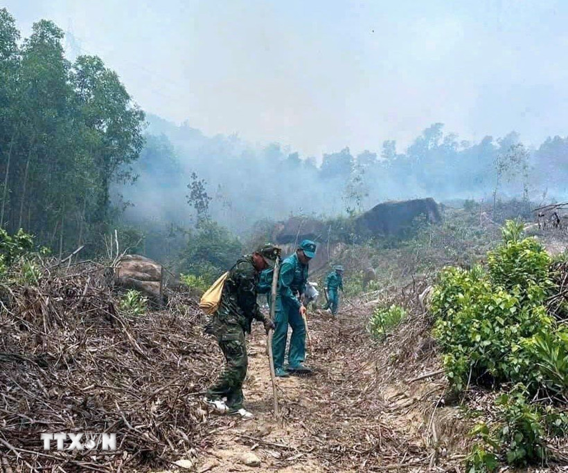 Lực lượng chức năng triển khai phát quang, chống cháy lan. (Ảnh: TTXVN phát)