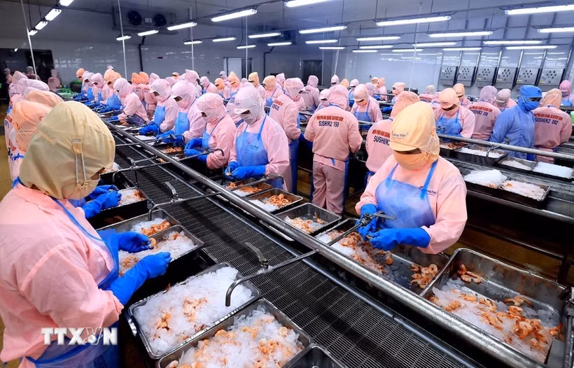Xuất khẩu nông, lâm, thủy sản 5 tháng tăng trên 9%. (Ảnh: Tuấn Anh/TTXVN)