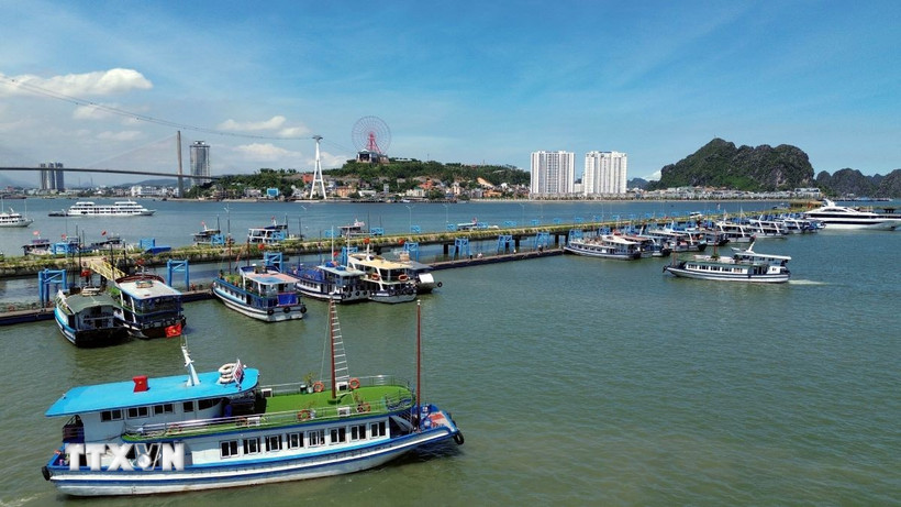 Các tàu du lịch neo đậu tại Cảng tàu khách quốc tế Hạ Long (Quảng Ninh). (Ảnh: Đức Hiếu/TTXVN)