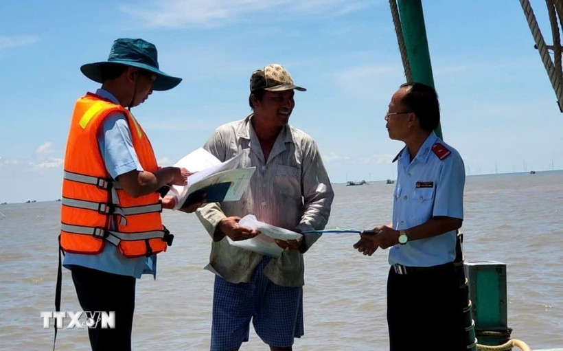 Ngành chức năng kiểm tra việc chấp hành các quy định của ngư dân về chống khai thác IUU. (Ảnh: TTXVN phát)