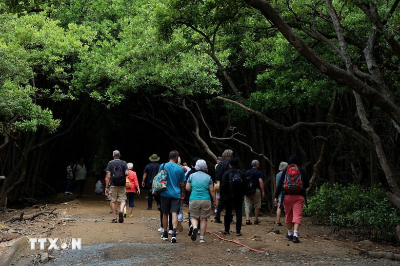 Du khách tham quan ở Cần Giờ. (Ảnh: Hồng Đạt/TTXVN)