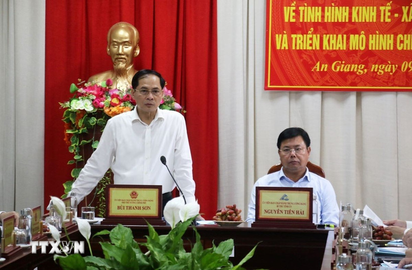 Phó Thủ tướng Chính phủ Bùi Thanh Sơn phát biểu tại buổi làm việc. (Ảnh: Lê Huy Hải/TTXVN)