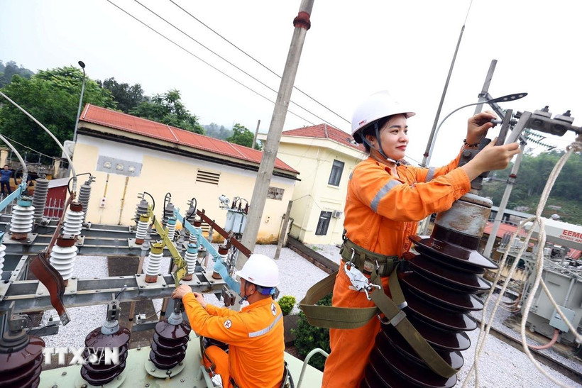 (Ảnh: Huy Hùng/TTXVN)