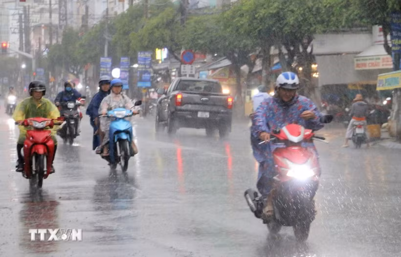 Cơn “mưa vàng” giải nhiệt bầu không khí khô nóng ở An Giang. (Ảnh: Công Mạo/TTXVN)