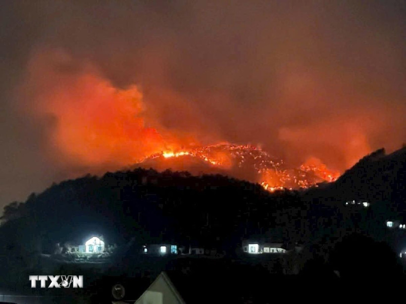 Cháy rừng tại Quảng Ninh. (Ảnh: TTXVN phát)