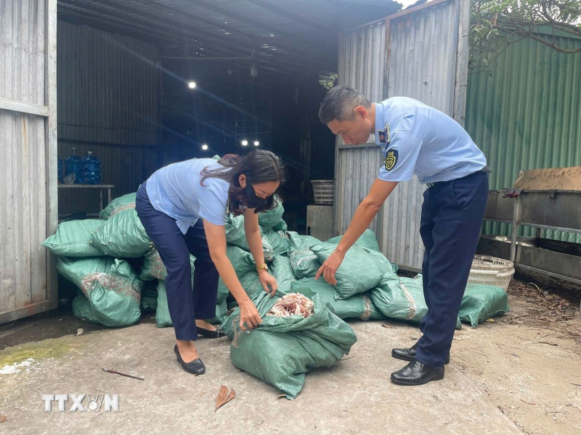 Lực lượng chức năng thu giữ gần 8 tấn chân gà không rõ nguồn gốc tại thành phố Móng Cái. (Ảnh: TTXVN phát)