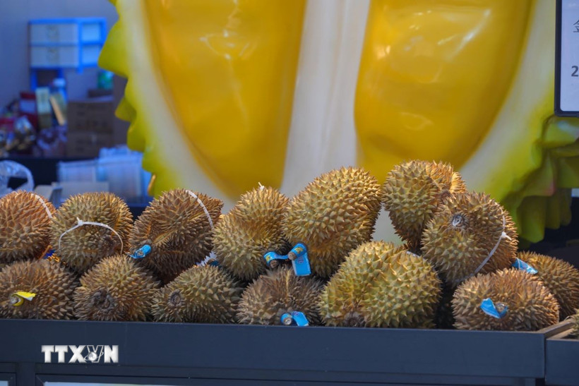 Sầu riêng được bày bán tại chợ Tân Phát Địa. (Ảnh: Quang Hưng/TTXVN)