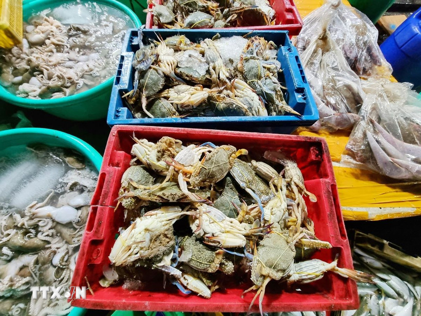 Việt Nam được đánh giá là thị trường tiềm năng cho các sản phẩm hải sản cao cấp của Anh. (Ảnh: Nguyễn Thành/TTXVN)