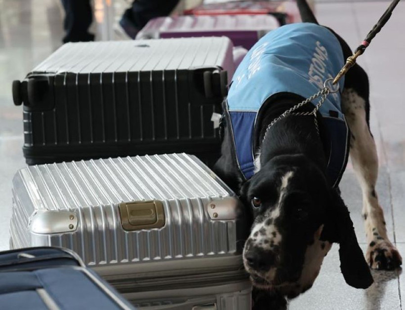 Ảnh minh họa. (Nguồn: Korea Times)